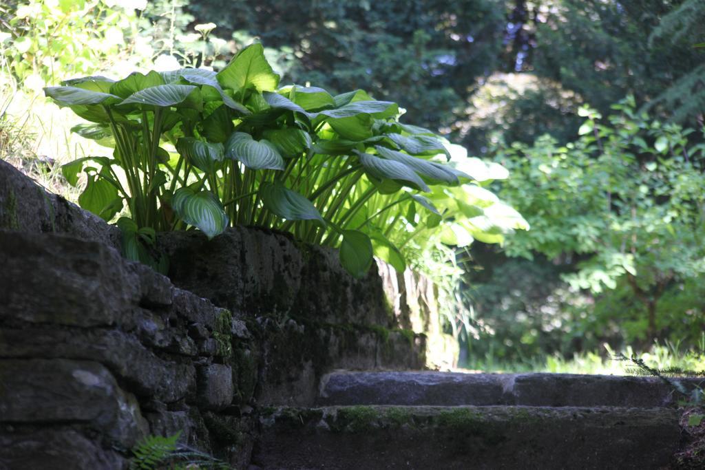 Villa Emilia Craveggia エクステリア 写真